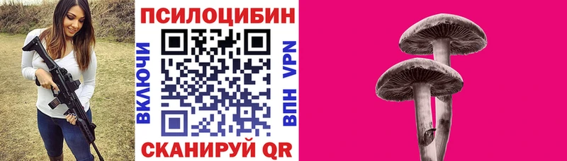 купить закладку  Лангепас  Галлюциногенные грибы Cubensis 